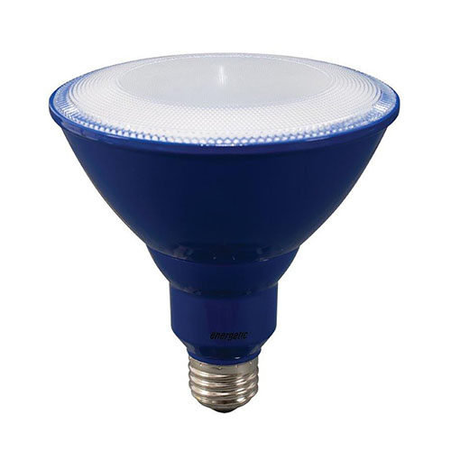 LED Par38 -  Bulb - 8 Watt - 60W Equiv - Energetic Lighting