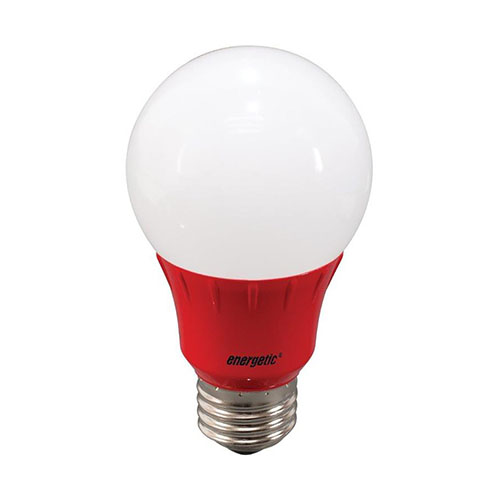 A19 LED Bulb 3 Watt (40W Equiv) by Energetic Lighting