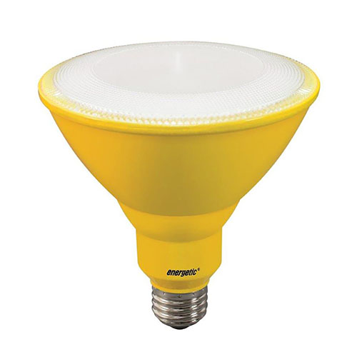 LED Par38 -  Bulb - 8 Watt - 60W Equiv - Energetic Lighting